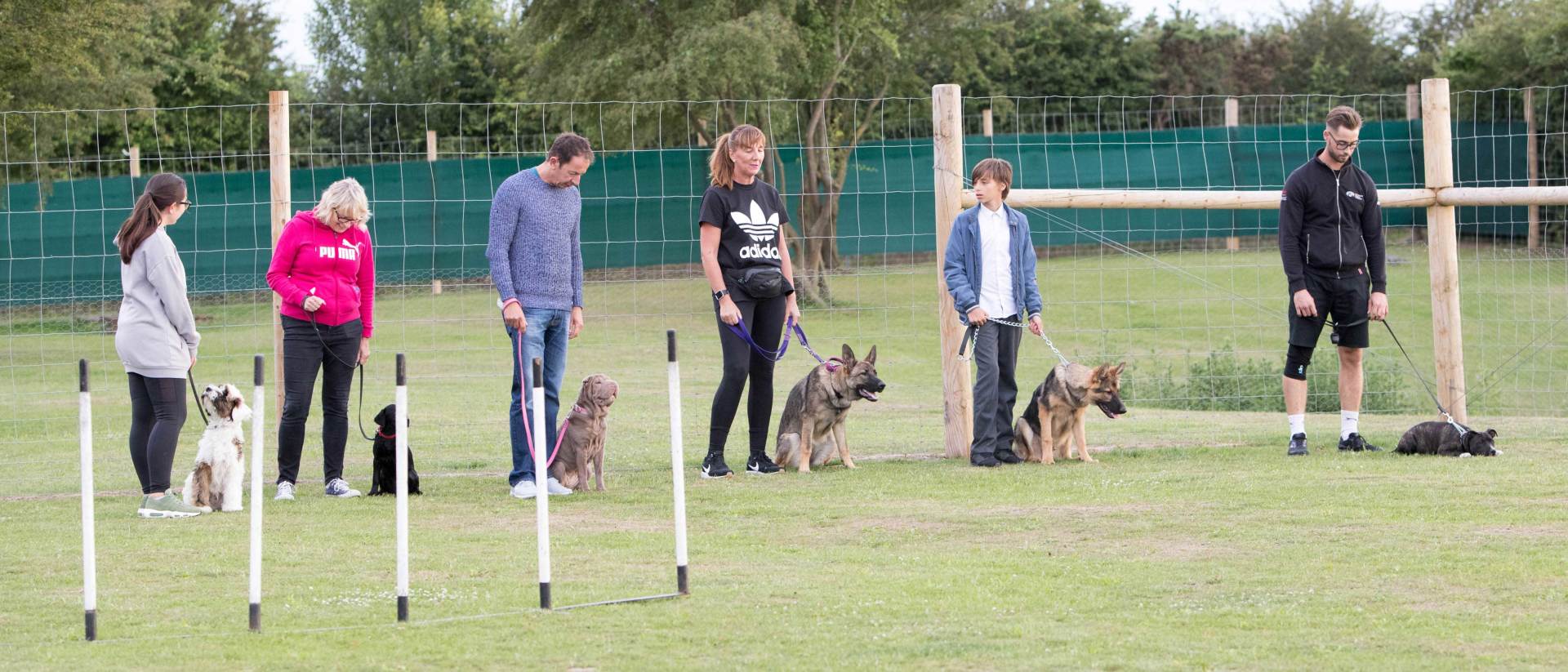 Dog training for all kinds of dogs at Barehams Kennels Orsett, Grays, Thurrock