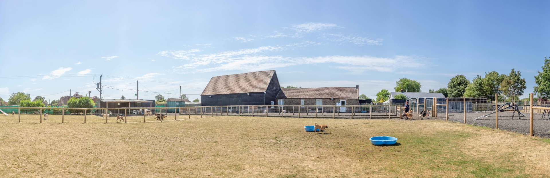 barehams kennels and dog training