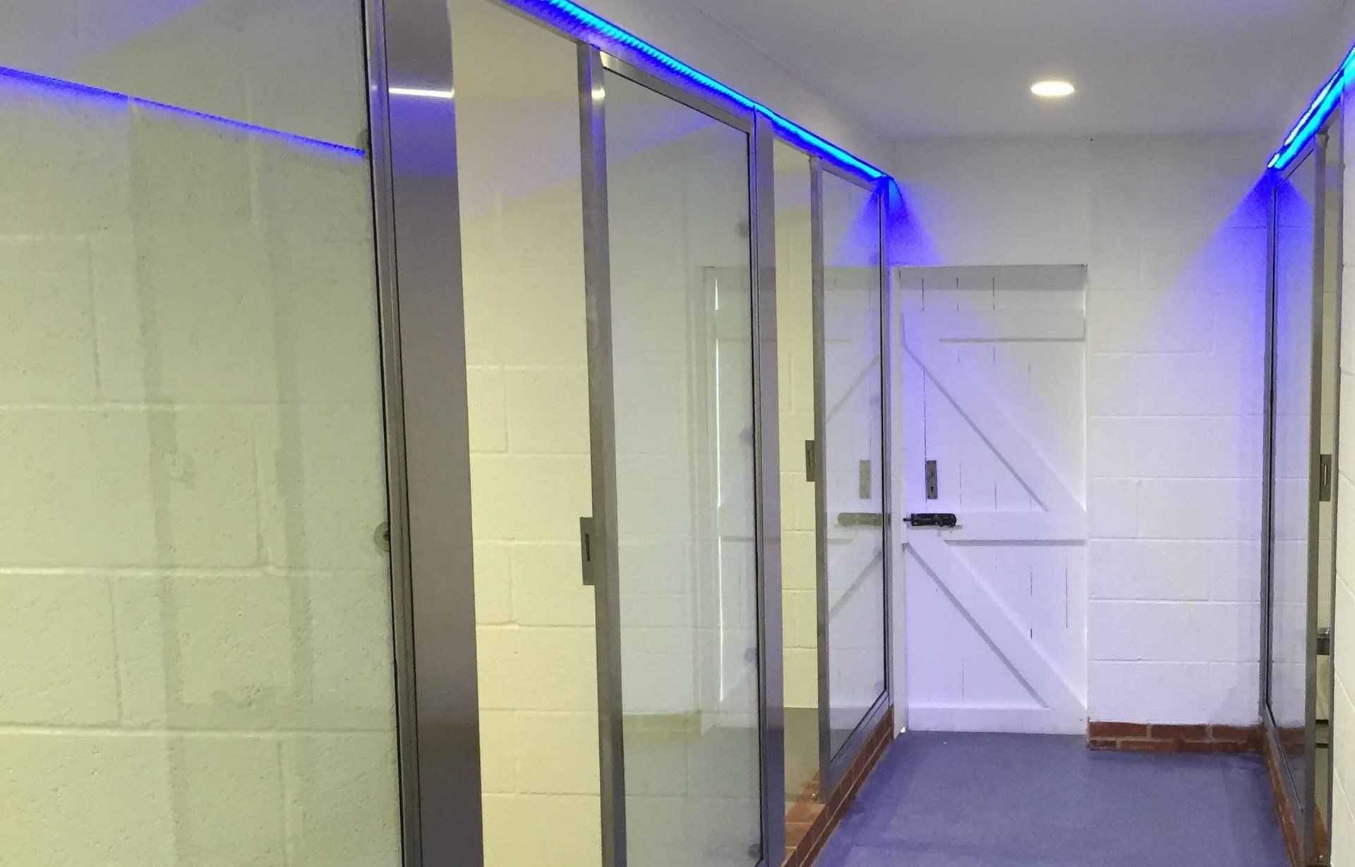 VIP luxury boarding kennels at Barehams Kennels Orsett Grays Thurrock