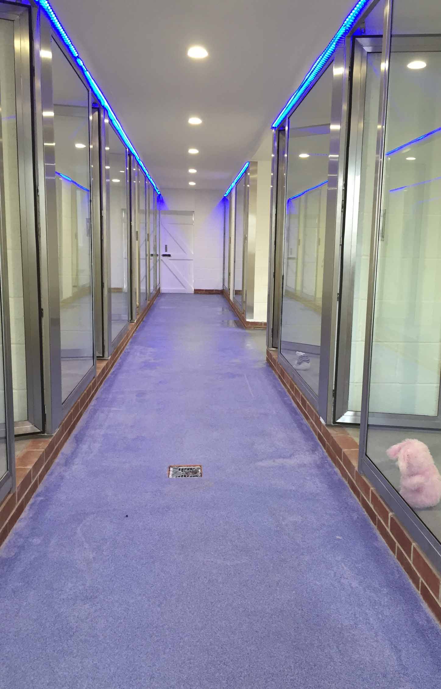 VIP luxury boarding kennels at Barehams Kennels Orsett Grays Thurrock