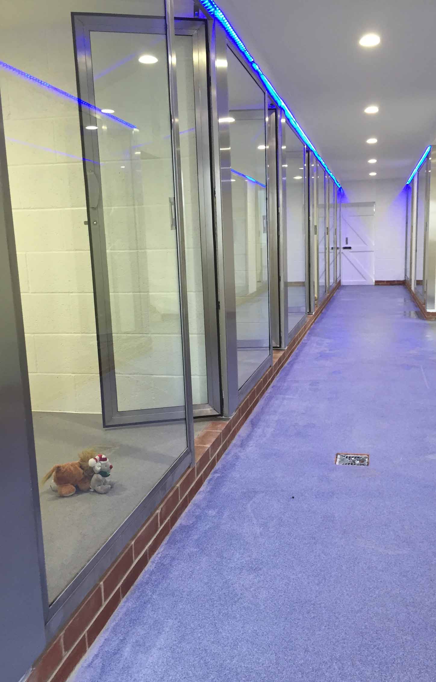 VIP luxury boarding kennels at Barehams Kennels Orsett Grays Thurrock