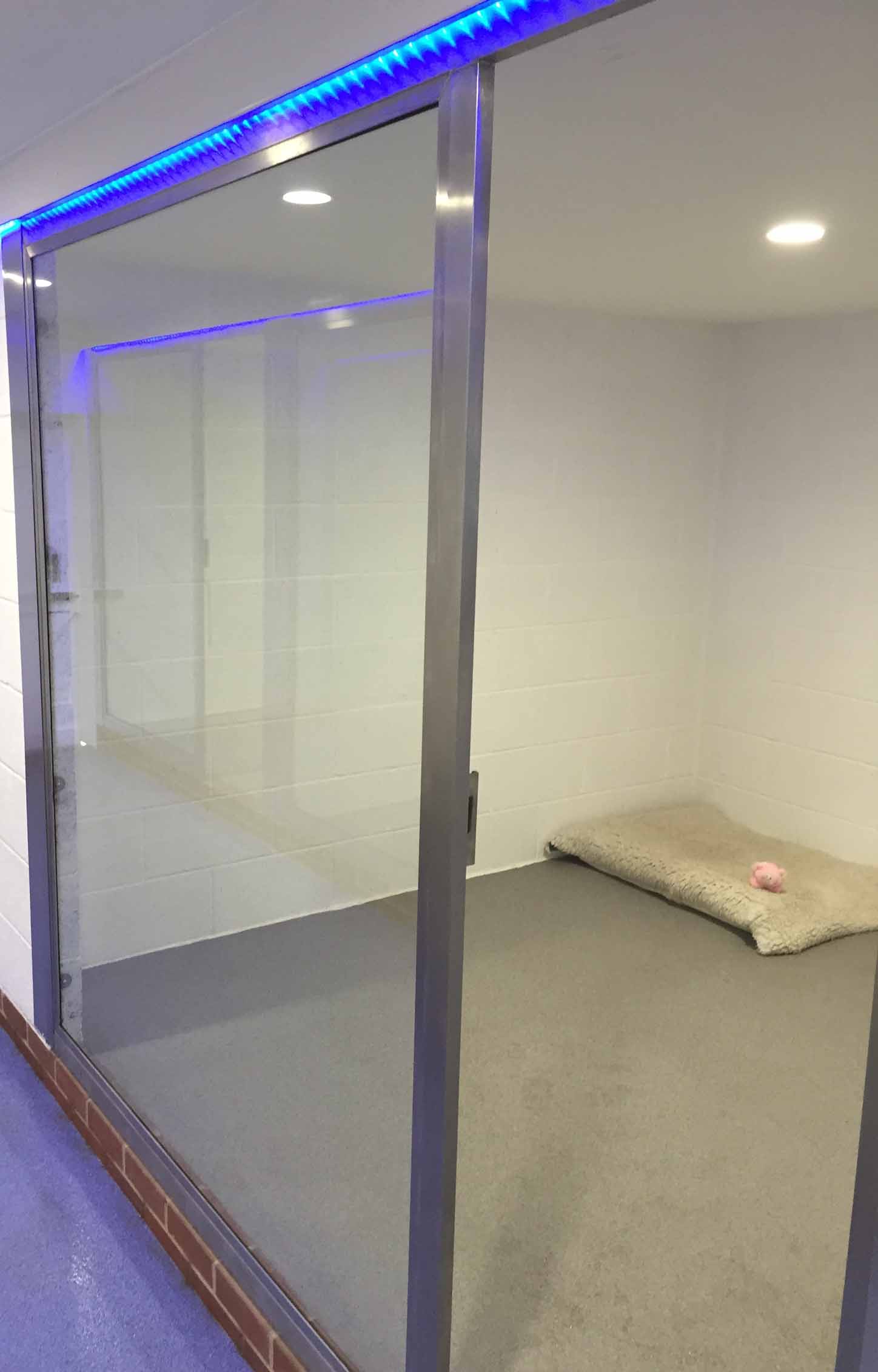 VIP luxury boarding kennels at Barehams Kennels Orsett Grays Thurrock