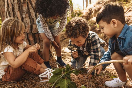 A group of children are looking at a plant with a magnifying glass.