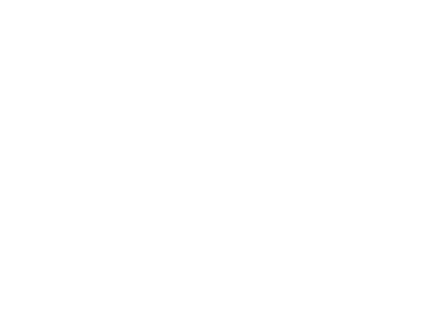 Safe Haven Strategies Logo