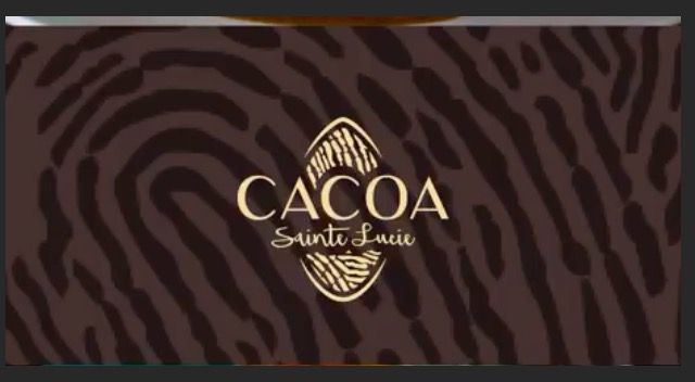 Saint Lucia Real Estate Consultation