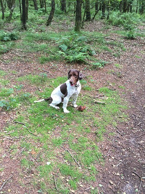 Quarry House Moneystone, Oakamoor