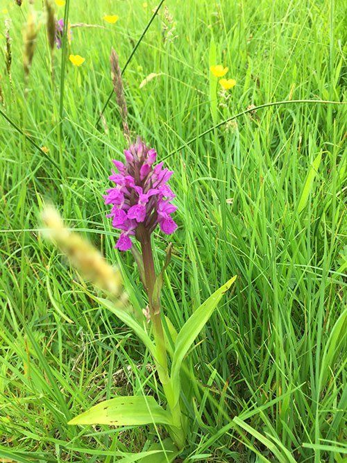 Quarry House Moneystone, Oakamoor