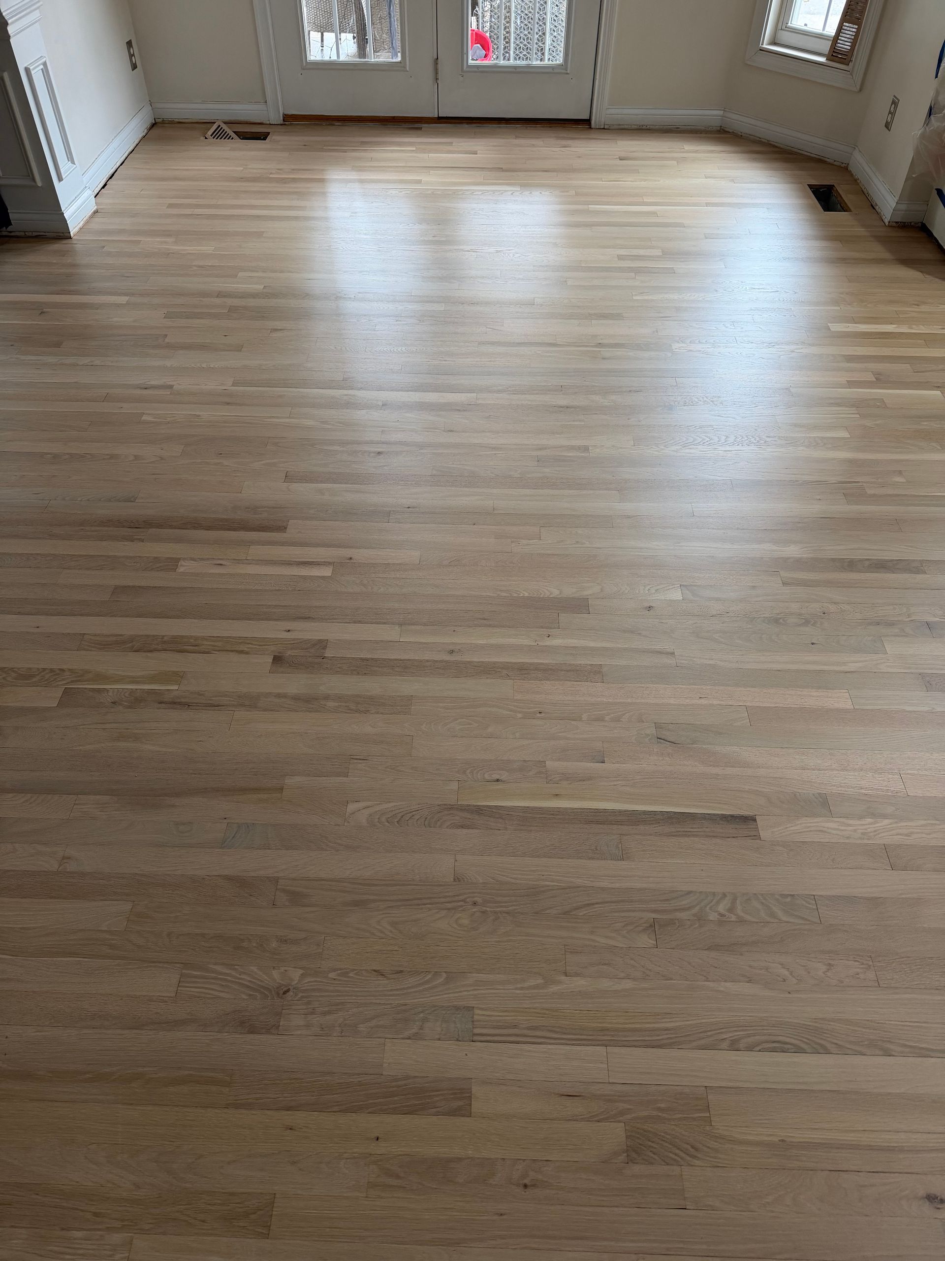 Empty room with gray walls, light wood floor, white trim, and a dark brown door.