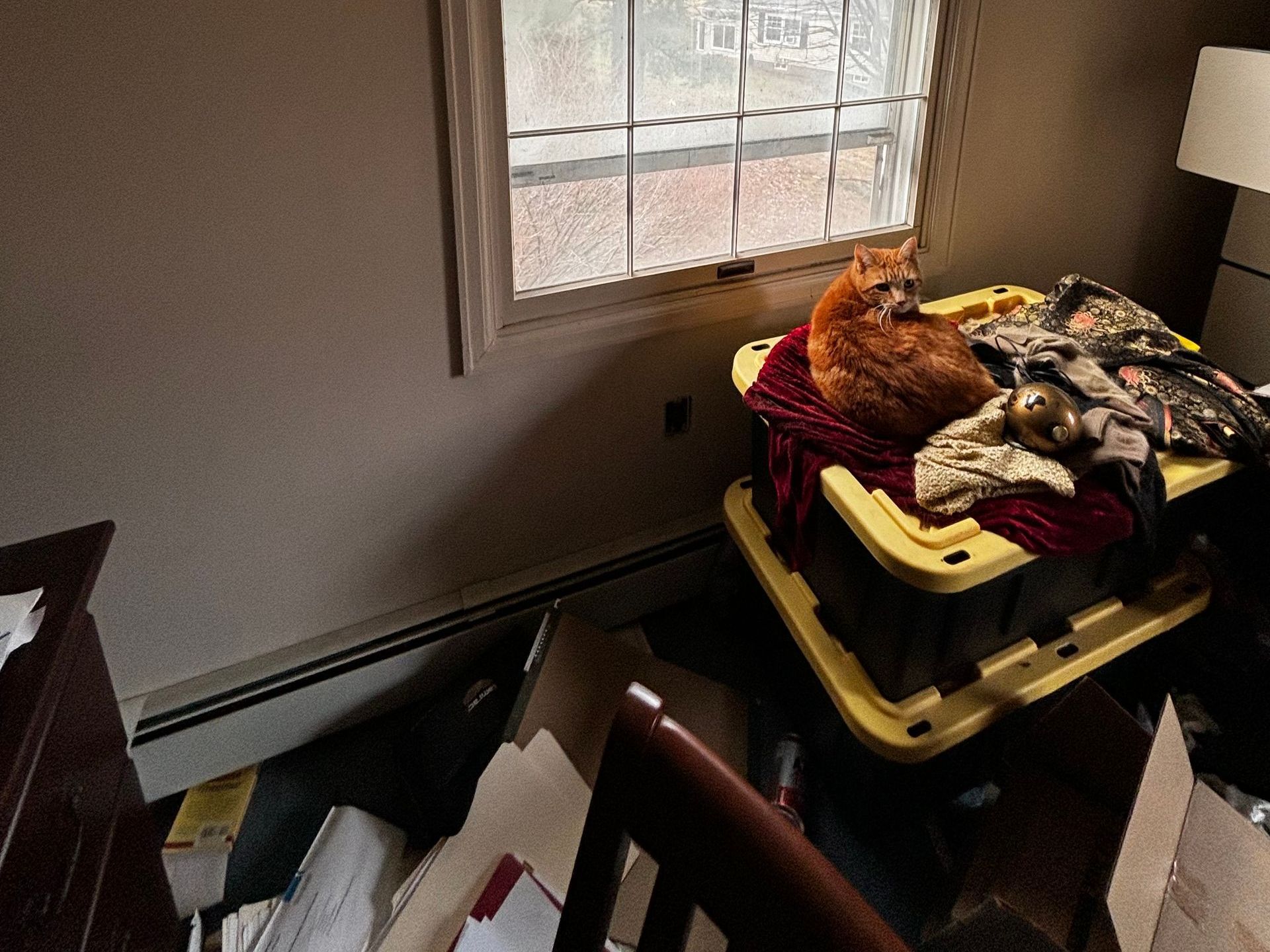 5 Tips for Selling a Hoarded House