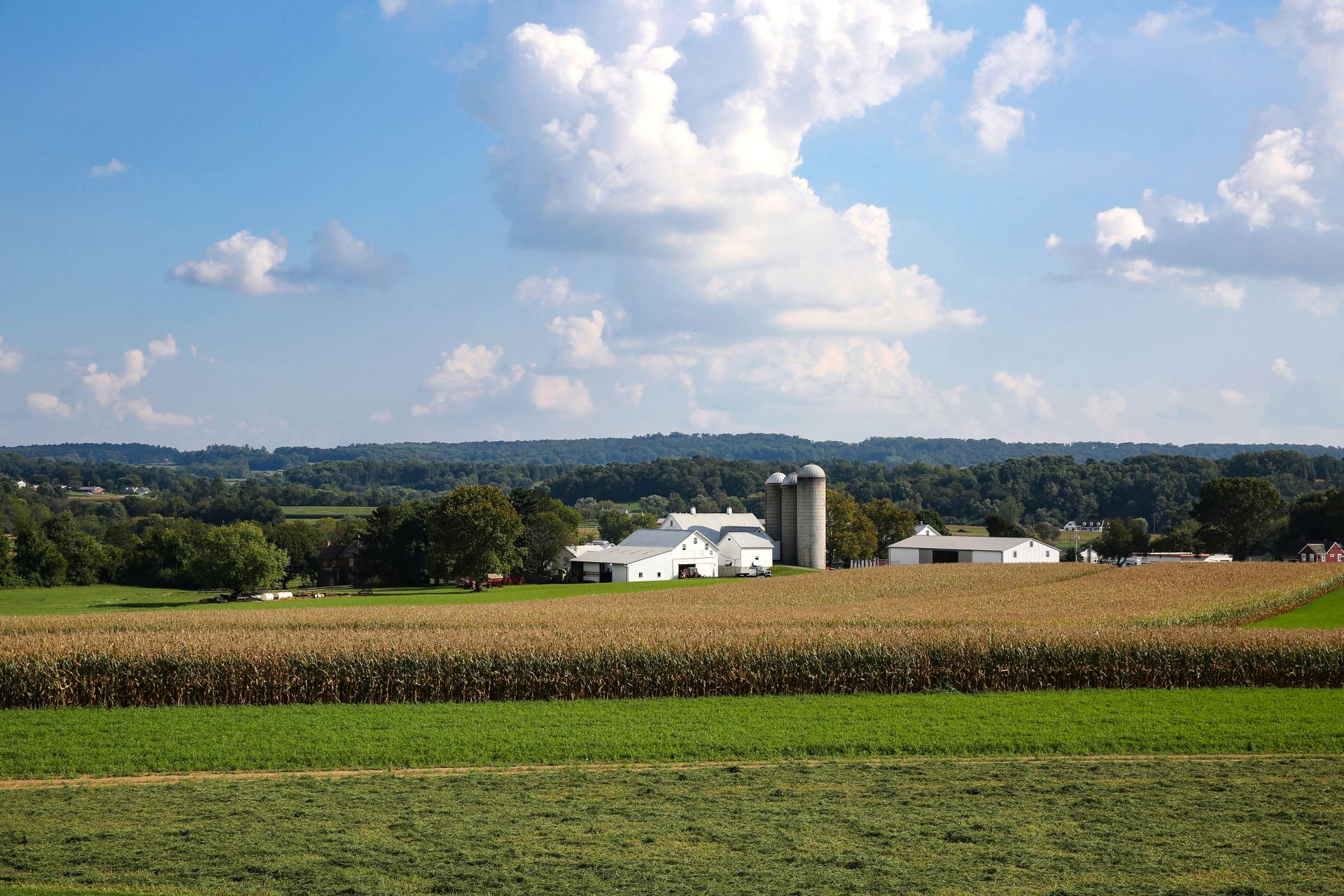 we buy houses Plainfield Township PA