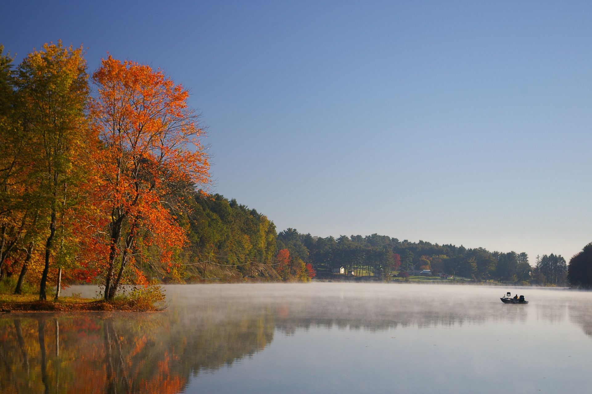 we buy houses in Schuylkill Haven
