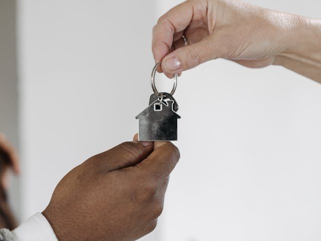How to Sell Your House Quickly with Costly Termite Damage
