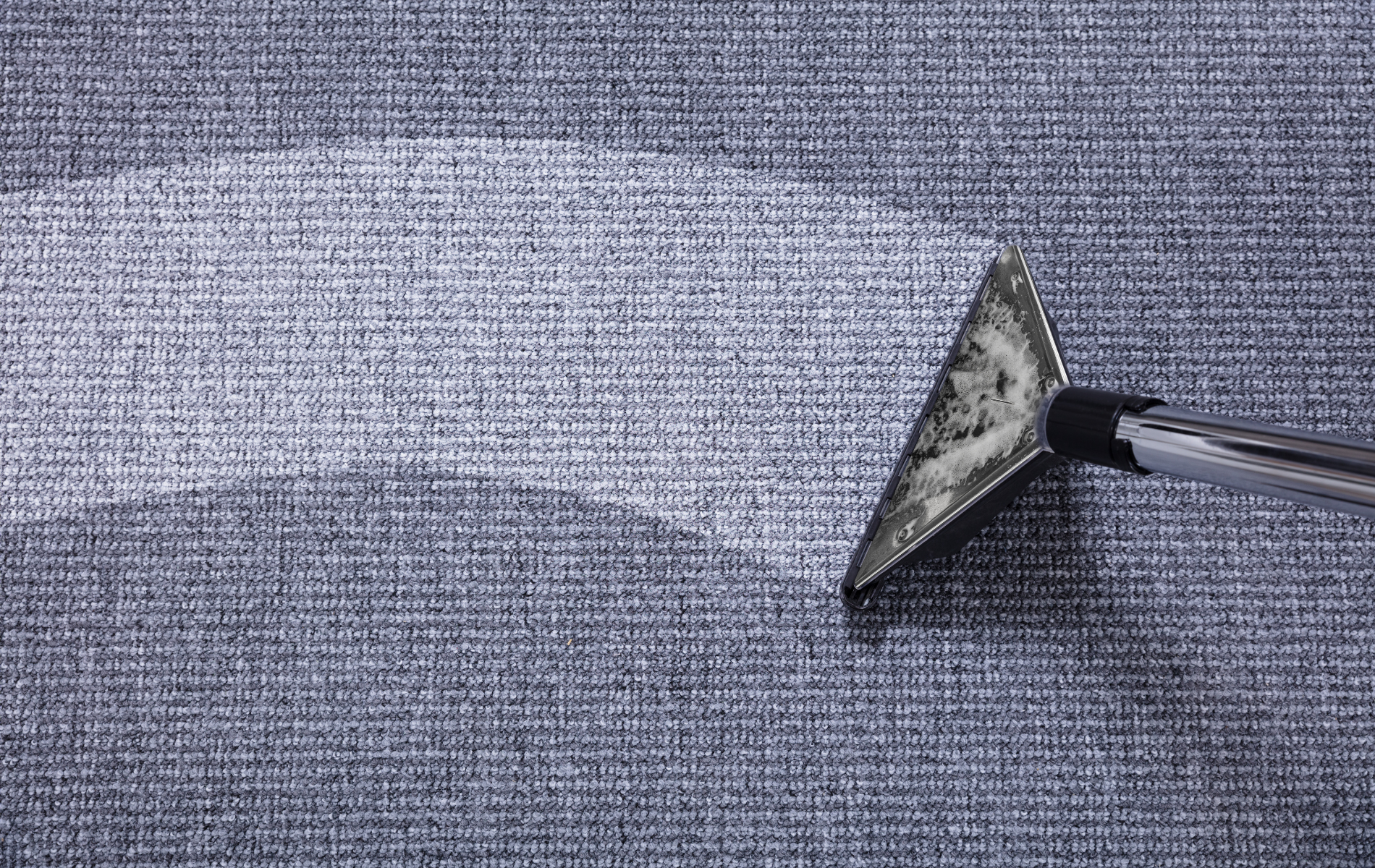 best carpet cleaners sherwood park alberta