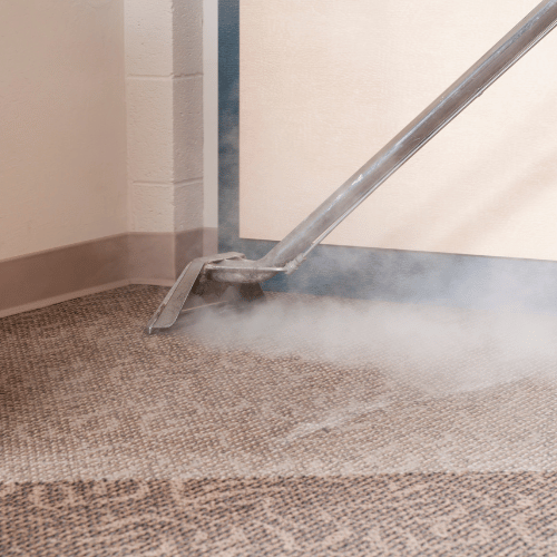 Cheapest carpet cleaning services in Beaumont, AB.