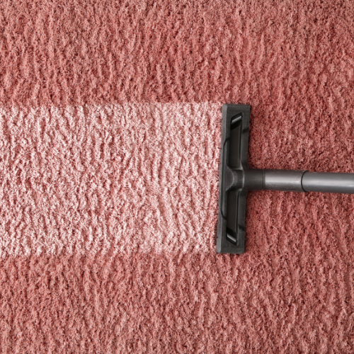 cheapest carpet cleaning company in Stony Plain, Alberta