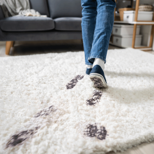 Cheap move-out carpet cleaning companies in Spruce Grove, Alberta