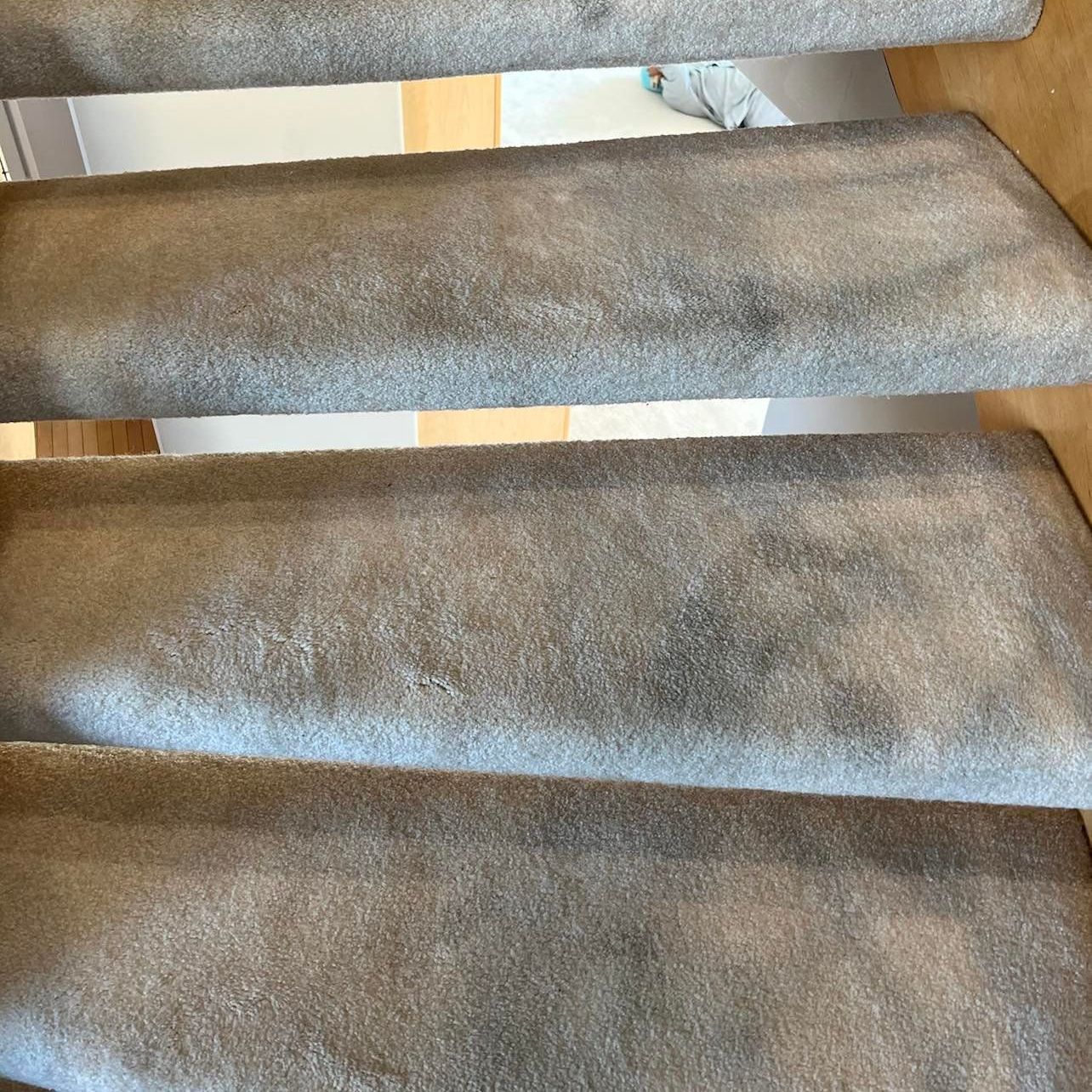 carpeted stairs before steam cleaning services