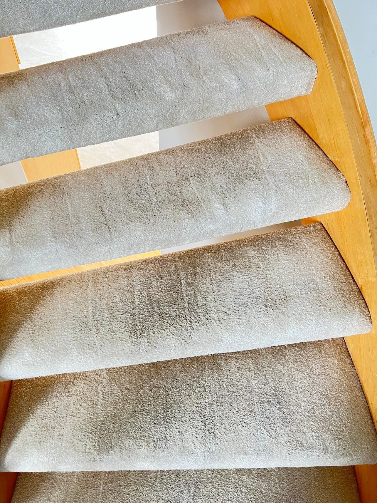 carpeted stairs after steam cleaning services