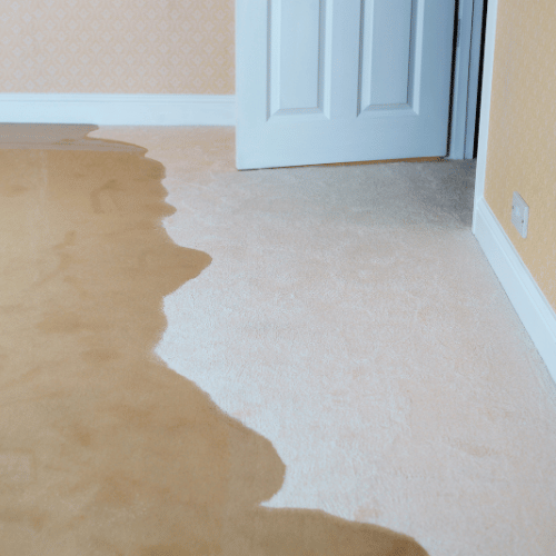 best flood restoration carpet cleaner companies in Nisku, Alberta