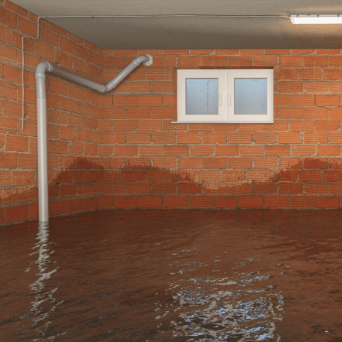 Best flood restoration carpet cleaners in Sherwood Park, Alberta