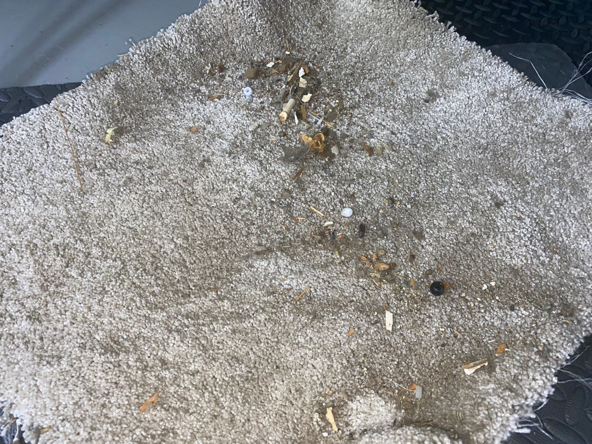 nasty debris removal duct cleaning service edmonton