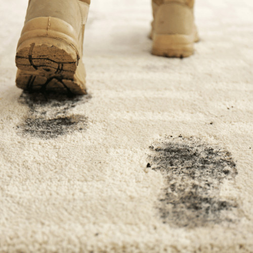 cheapest new construction carpet cleaning services in Edmonton, AB.