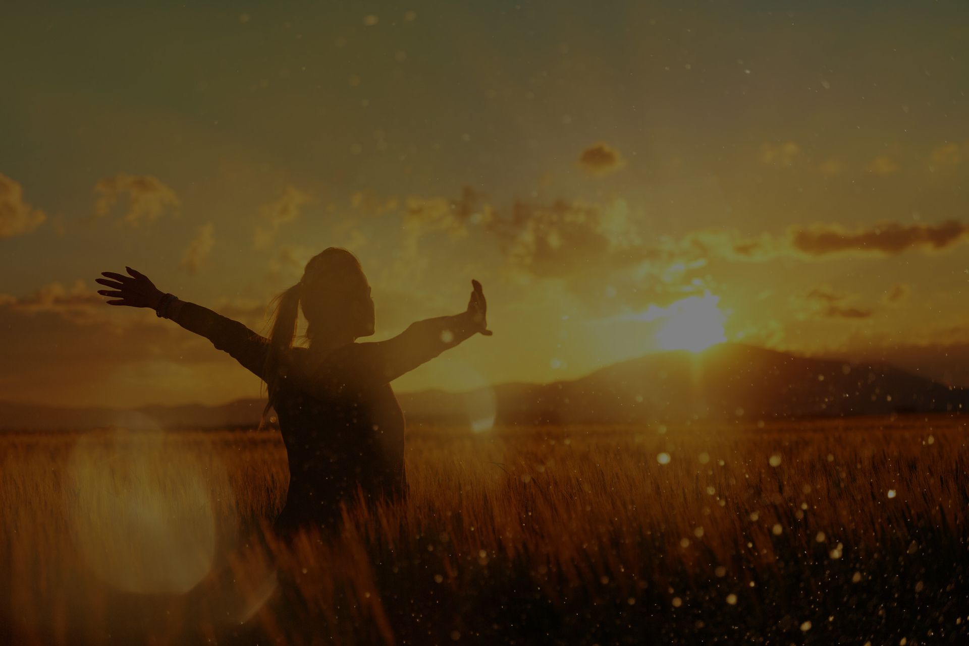 Silhouette of a person with arms outstretched in a field at sunset.
