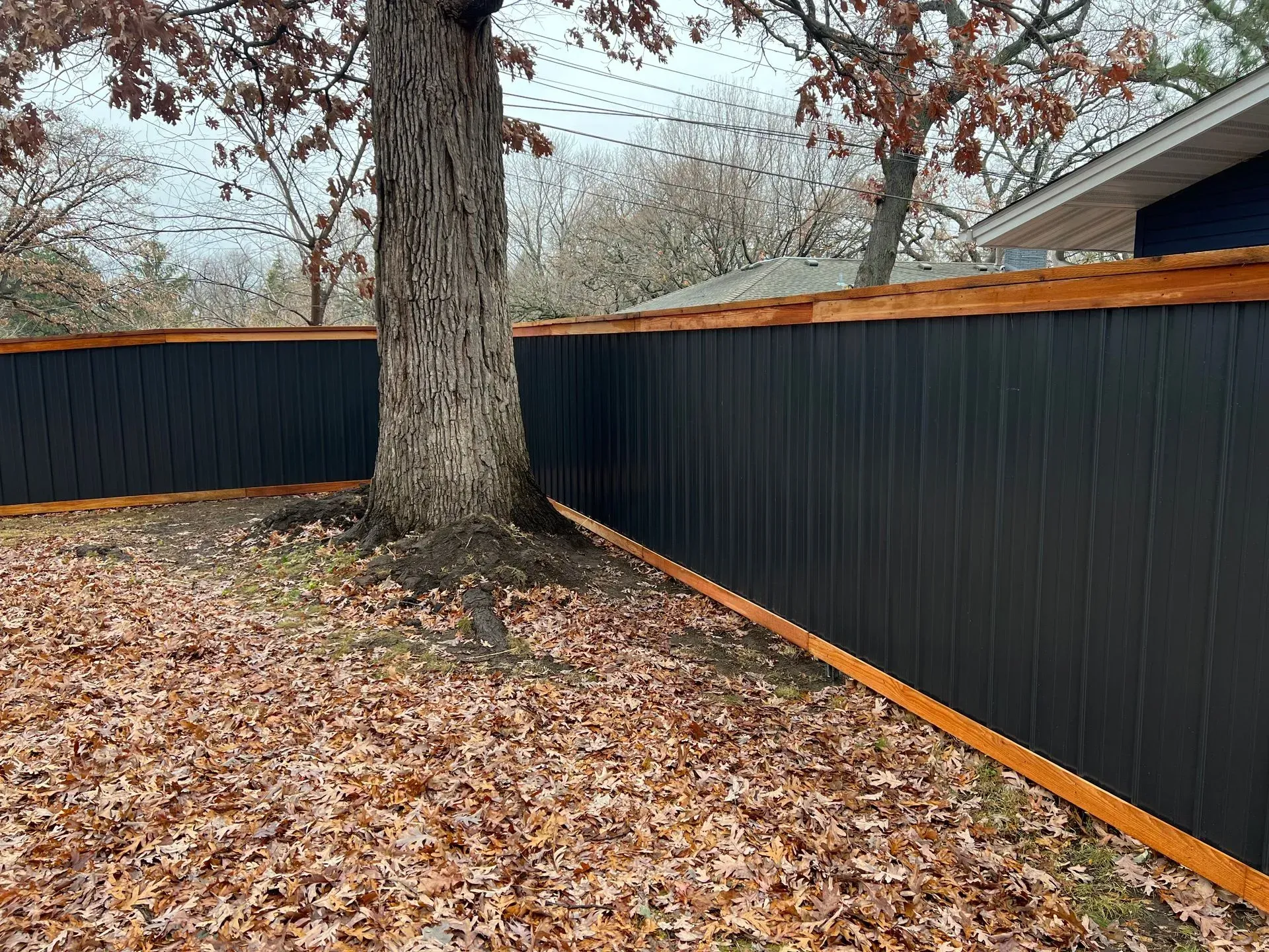 A black fence with a tree in the background and leaves on the ground.