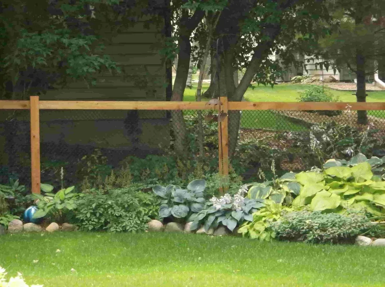 A wooden fence surrounds a lush green garden
