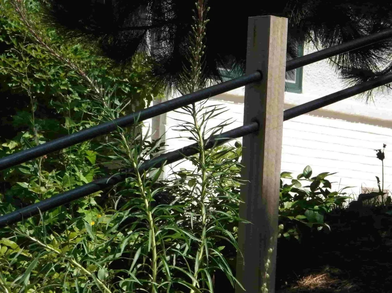 A wooden post with a black railing surrounded by plants
