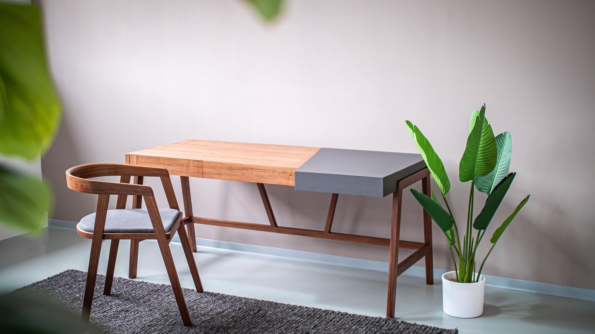 Schreibtisch in geöltem Nussbaum mit handgefertigtem Stuhl in Nussbaum und einer grünen Zimmerpflanze.