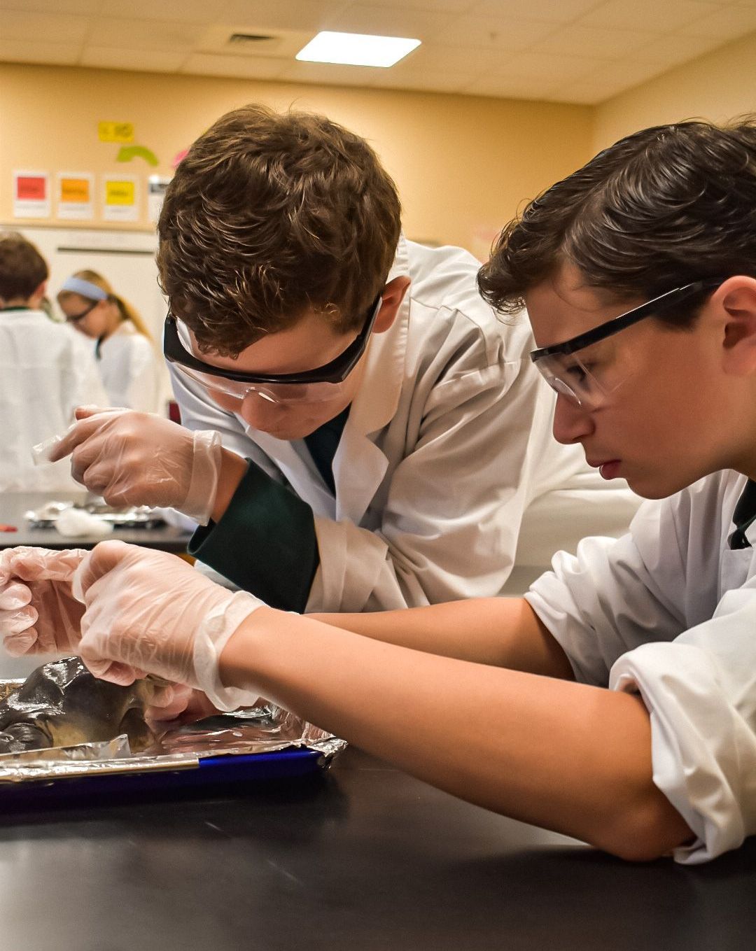 Two boys wearing lab coats and goggles are working on a piece of meat