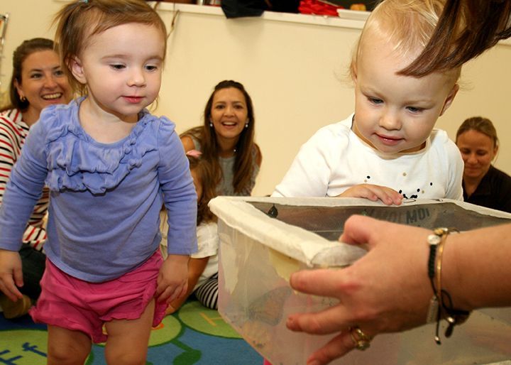 A little girl in a purple shirt is looking at something in a clear container