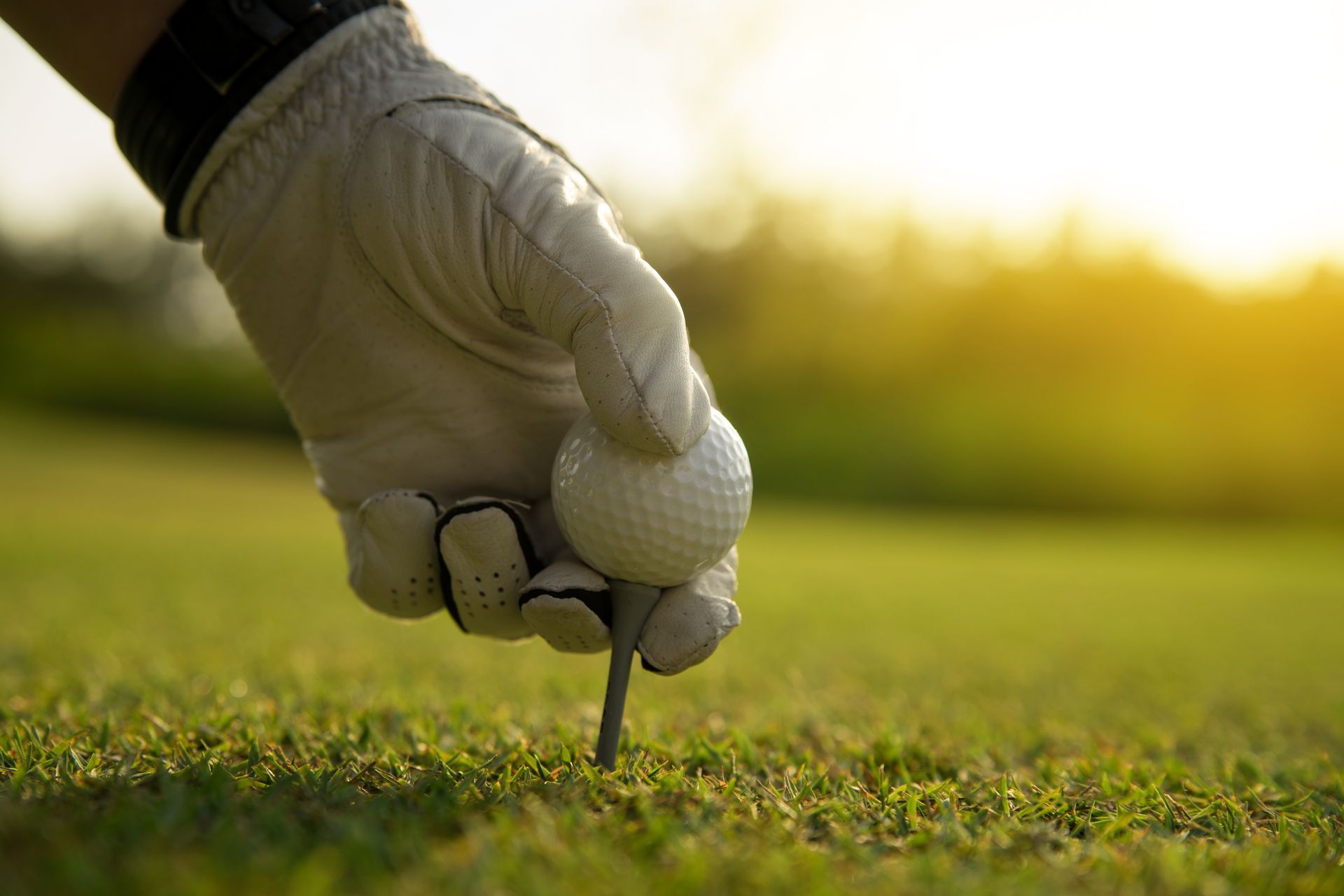 Golfer's gloved hand placing a golf ball on a tee on green grass, with a sunny background.