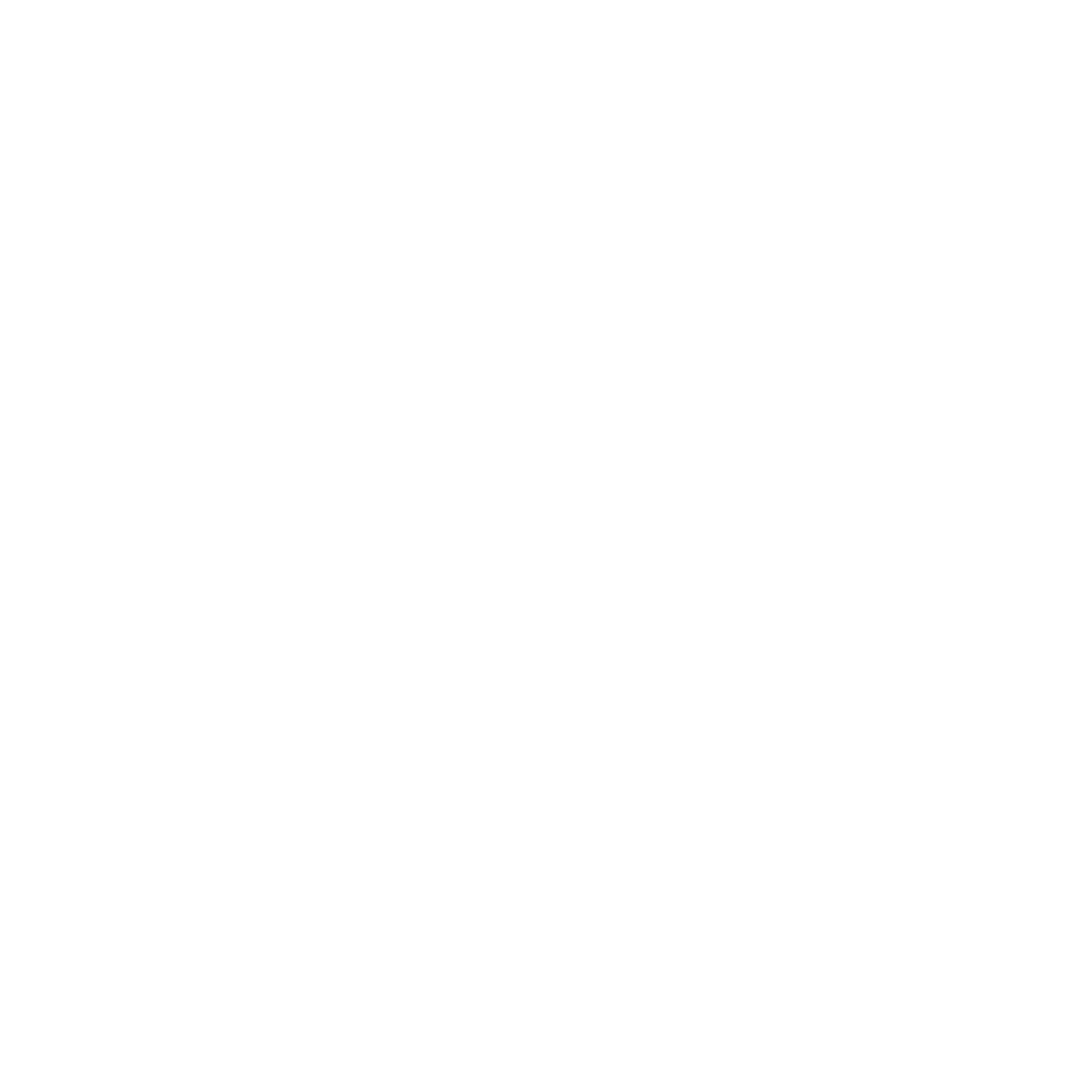 RochesterAquatics Logo