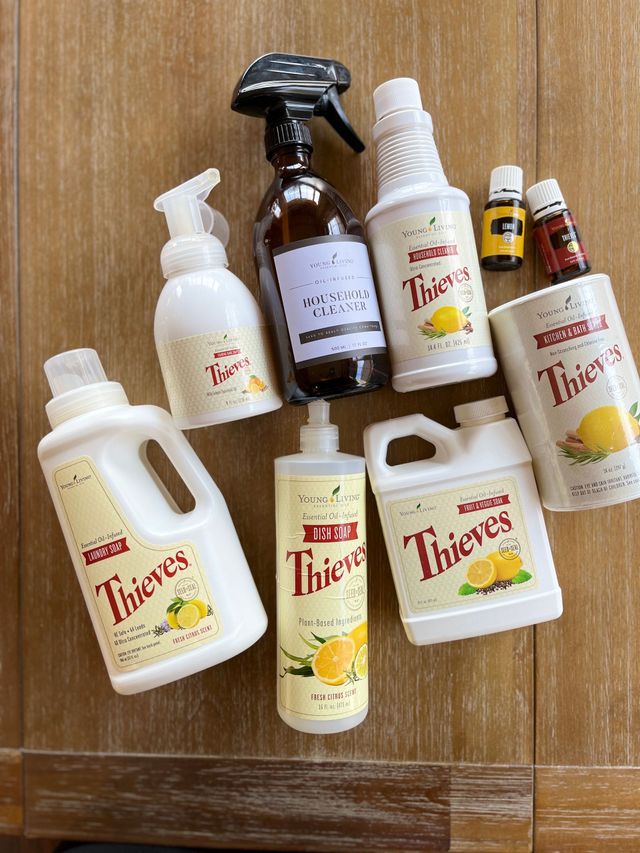 Thieves Home 2024 Cleaning Kit, Brand new