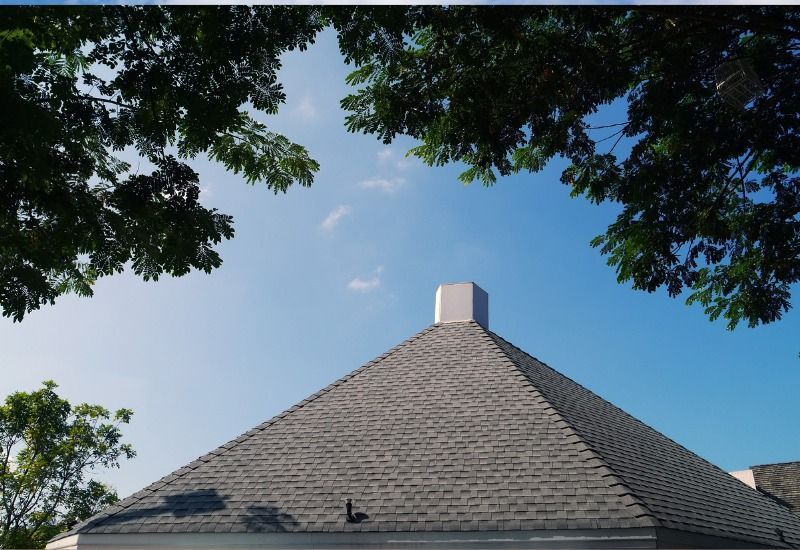 Gray shingled roof with a chimney against a blue sky, framed by tree branches.