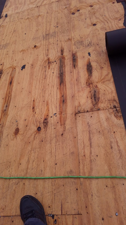 Plywood roof with dark stains, black roll of material, and a green string. A foot is in the bottom of the frame.