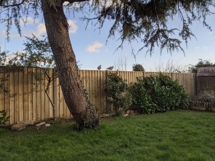 Raw Fencing & Decking Fencing & Gates For The Isle of Wight