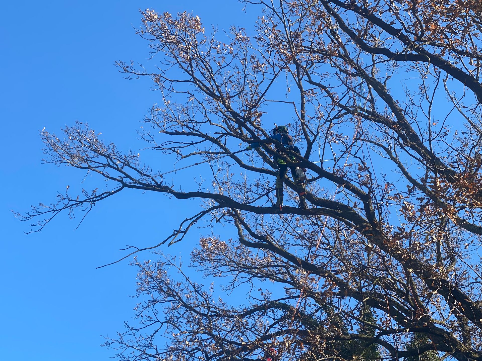 Allestimento aree verdi