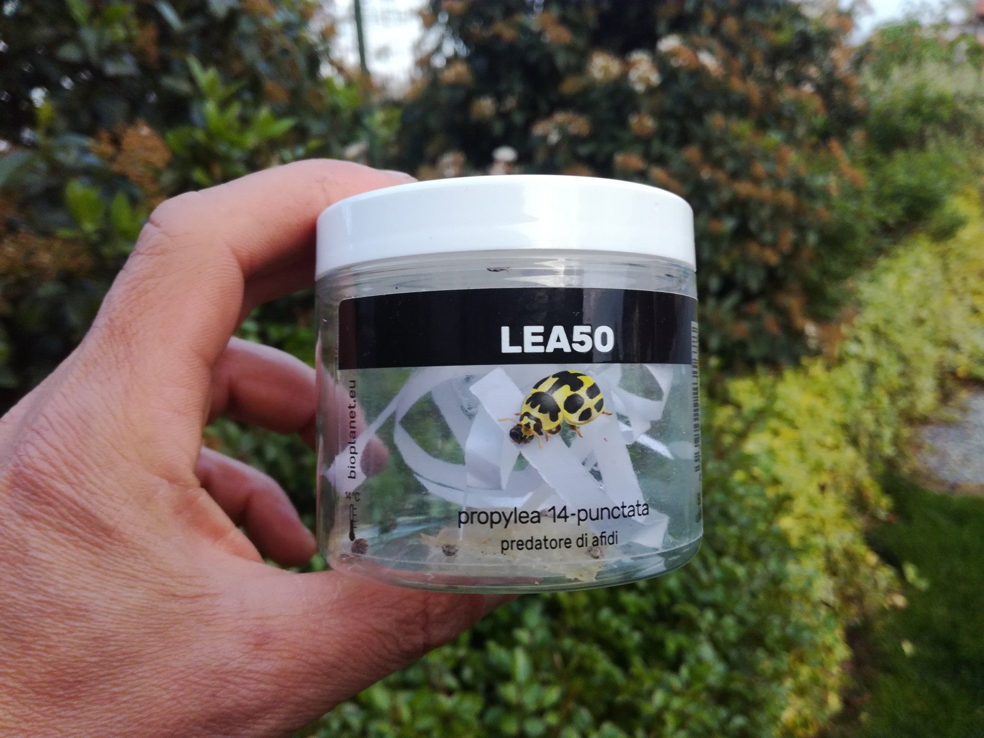 Mano che tiene un barattolo con l'etichetta 