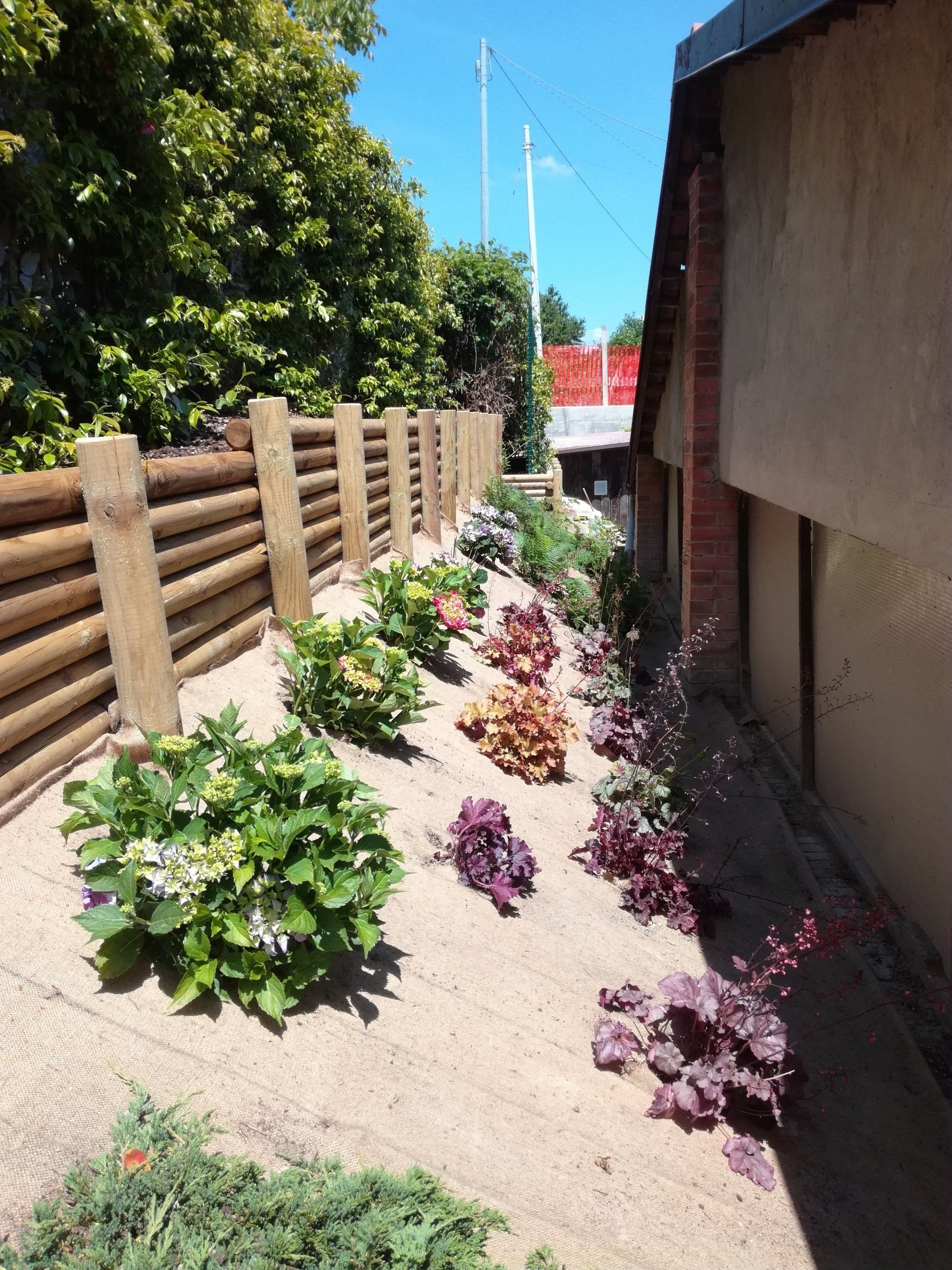 Un'aiuola con piante colorate e una staccionata in legno accanto a un edificio in una giornata di sole.