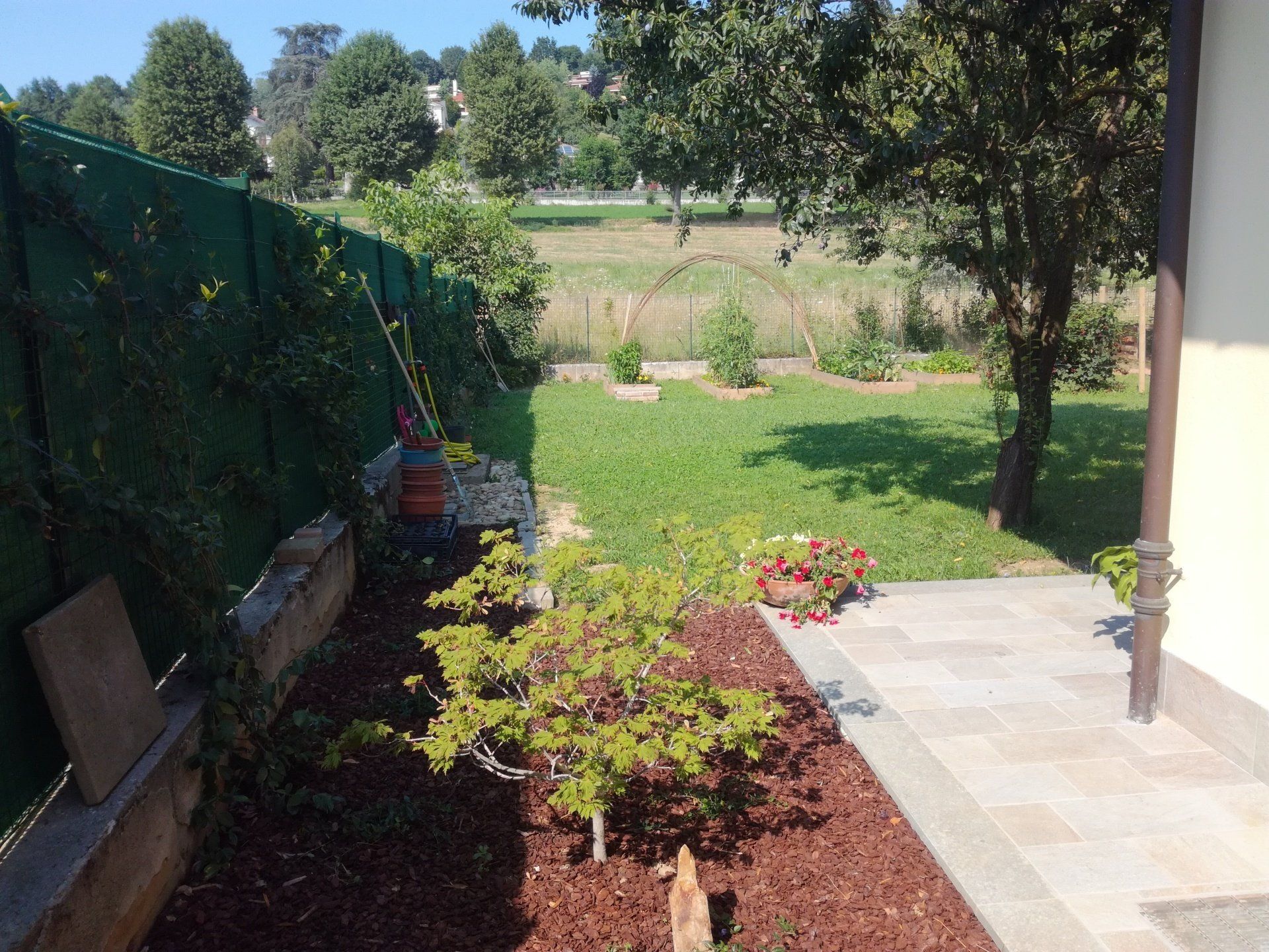 Cortile con prato, aiuole, recinzione verde e piccolo albero.