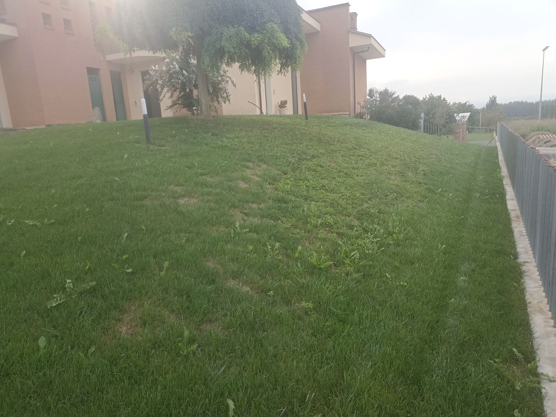 Collina verde erbosa con un edificio sullo sfondo e una recinzione sulla destra.