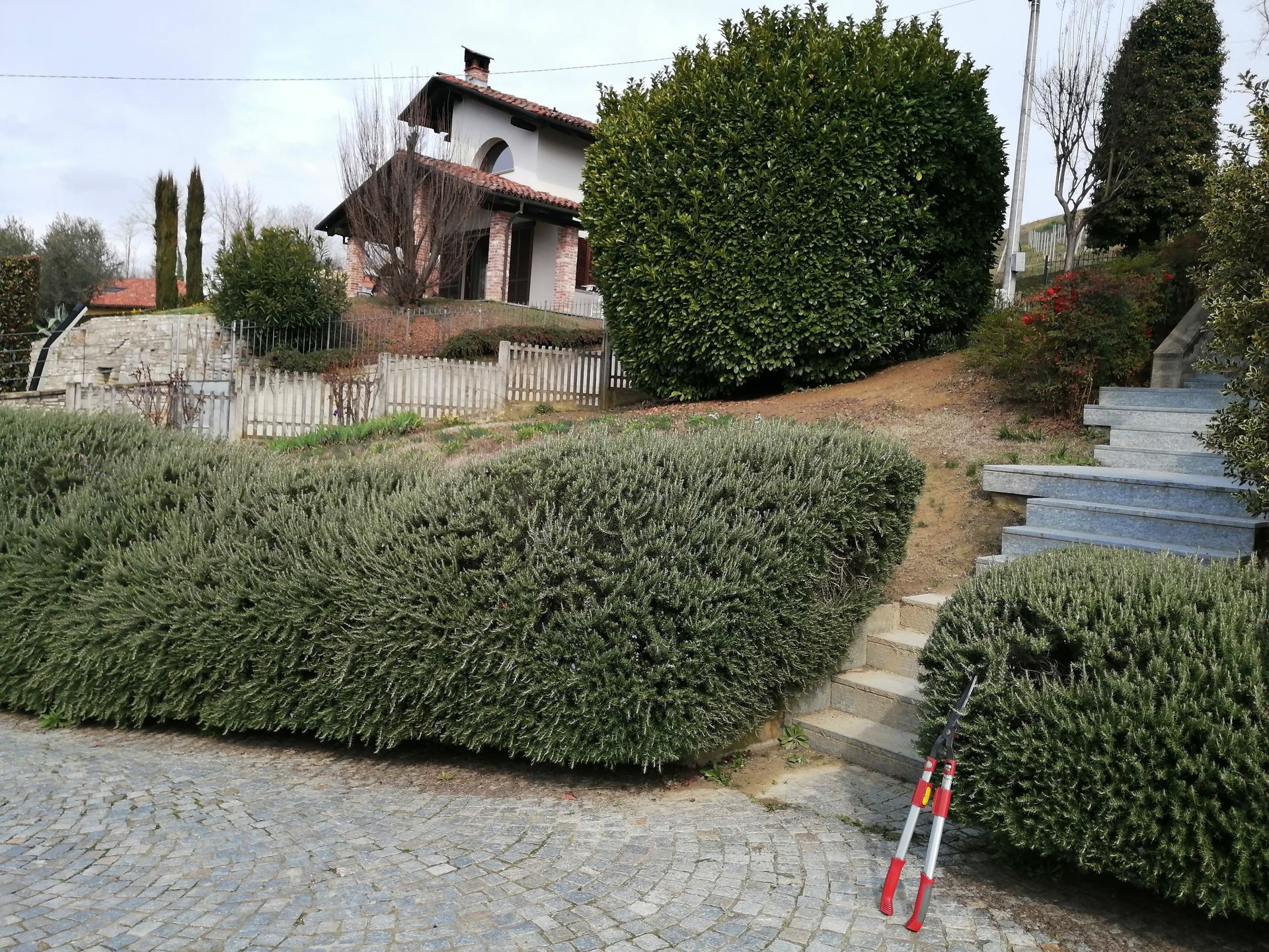 Siepi verdi incorniciano una casa con gradini. Le cesoie da giardinaggio sono appoggiate su una siepe più bassa. Giornata nuvolosa.