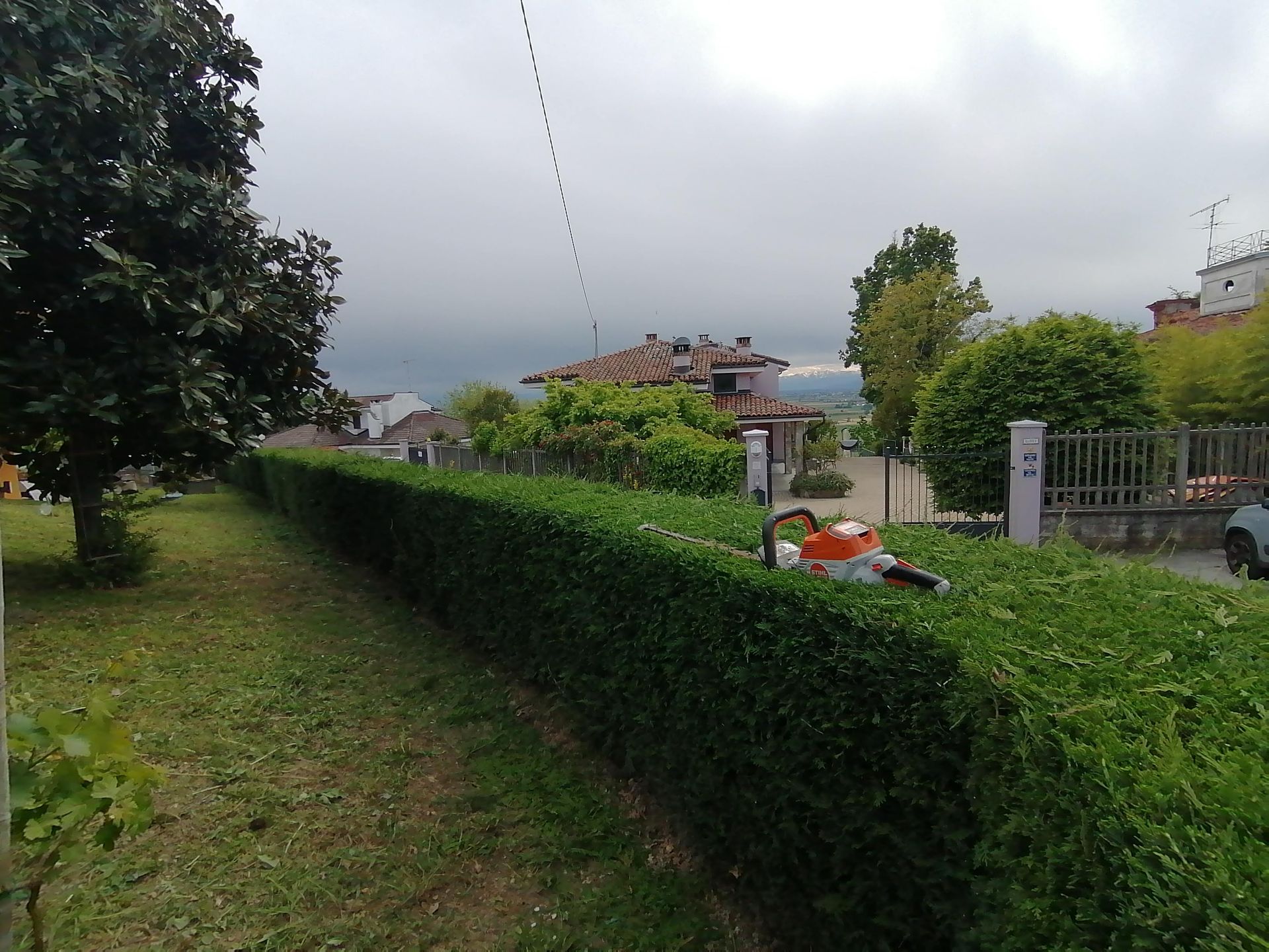 Una persona sta potando una lunga siepe verde con un elettroutensile. L'ambientazione è all'aperto, con case visibili sullo sfondo.