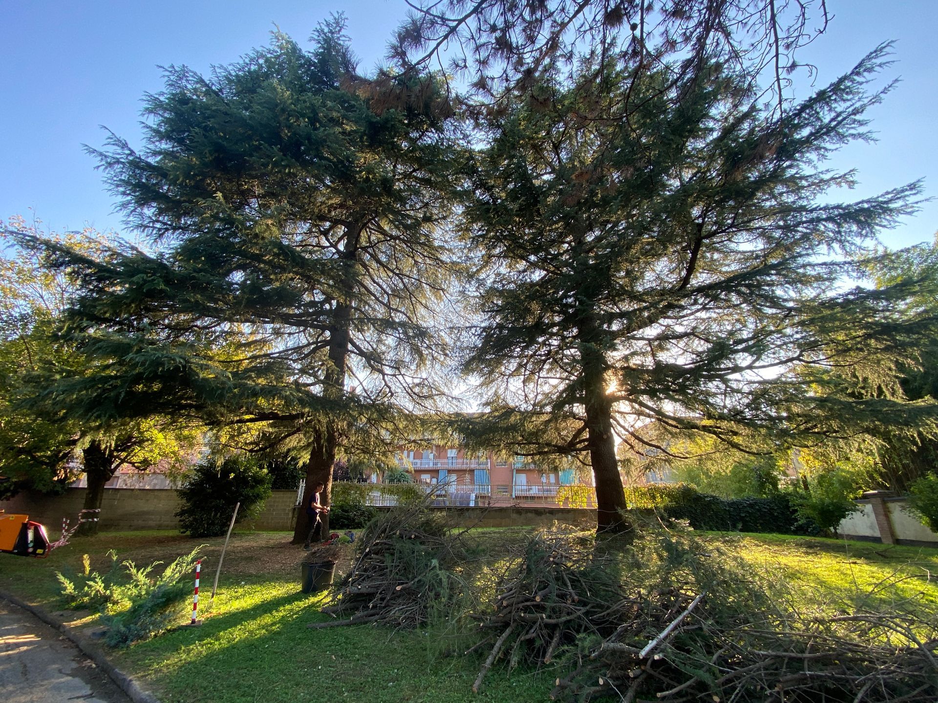 Allestimento aree verdi