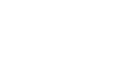 Rafael Paulino logo