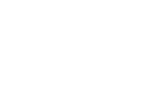 Empty white background.