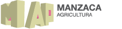 Manzaca & Moreira Associados